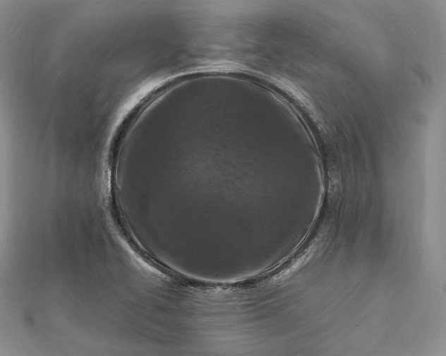 X0000112491414200908311422