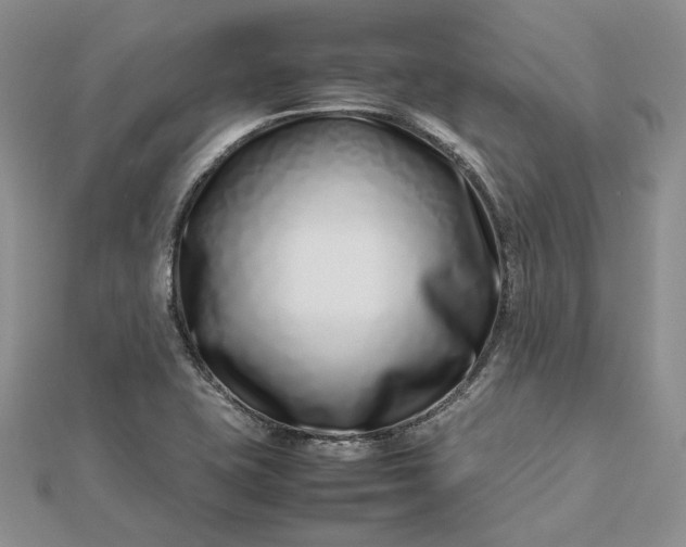 X0000112491415200908311422