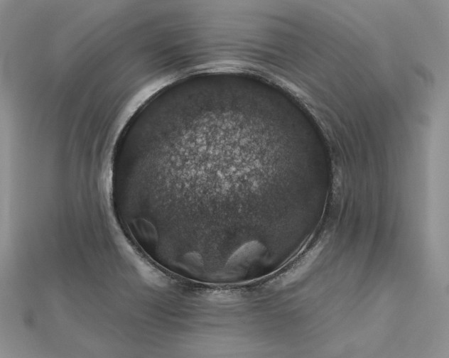 X0000112491418200908311422