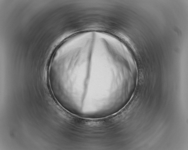 X0000112491419200908311422