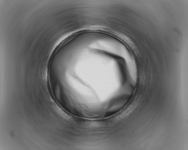 X0000112491420200908311422