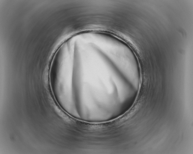 X0000112491421200908311422