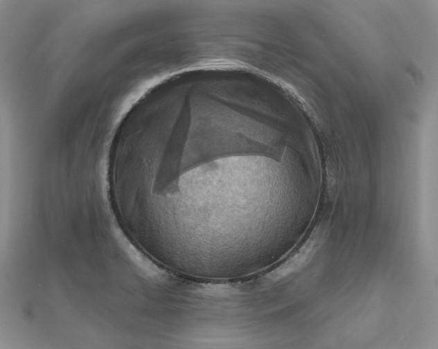 X0000112491422200908311422