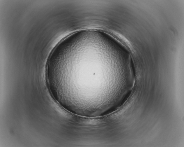 X0000112491423200908311422