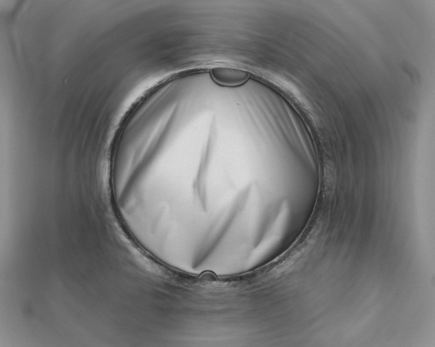 X0000112491424200908311423