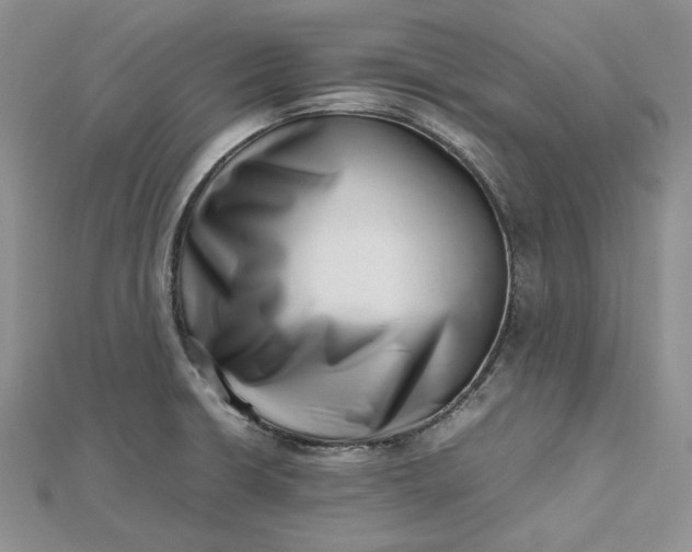 X0000112491426200908311423