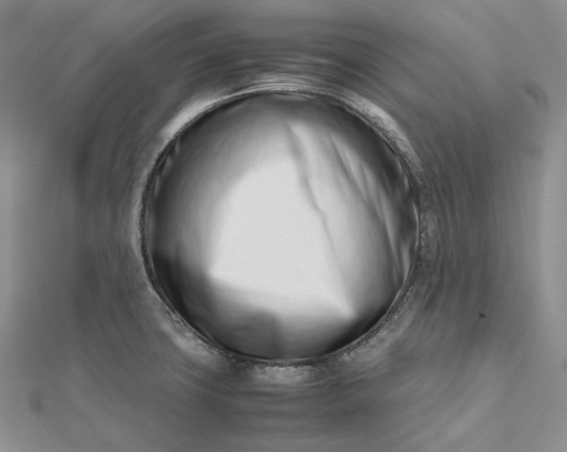 X0000112491427200908311423