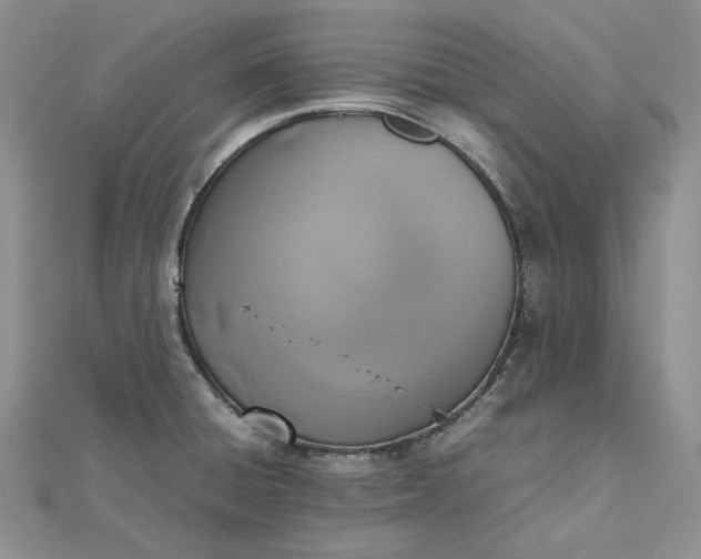 X0000112491428200908311423