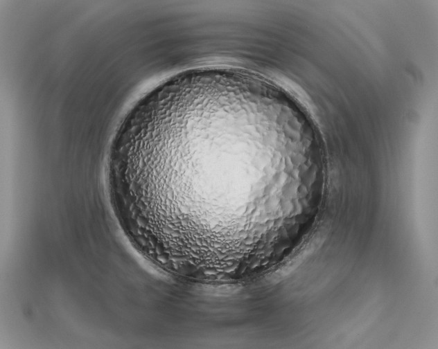 X0000112491429200908311423