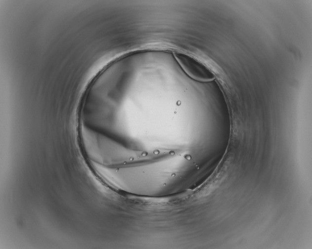 X0000112491430200908311423