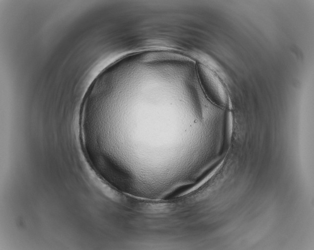 X0000112491431200908311423