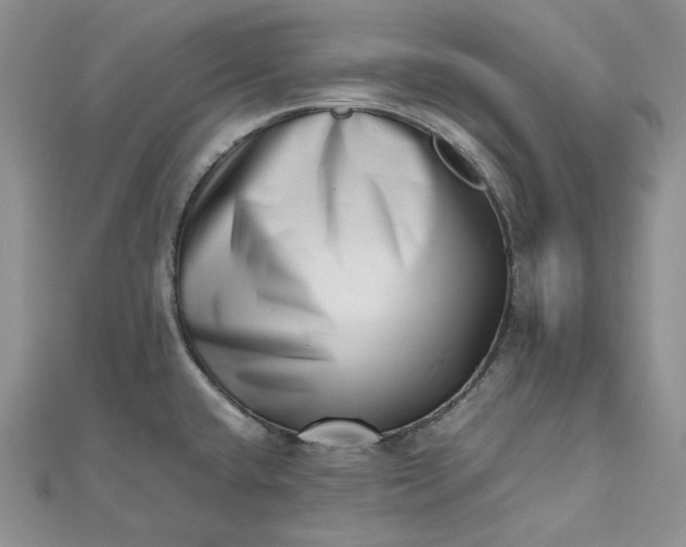 X0000112491432200908311423