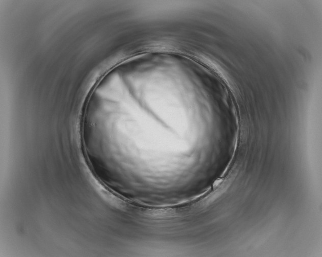 X0000112491434200908311423