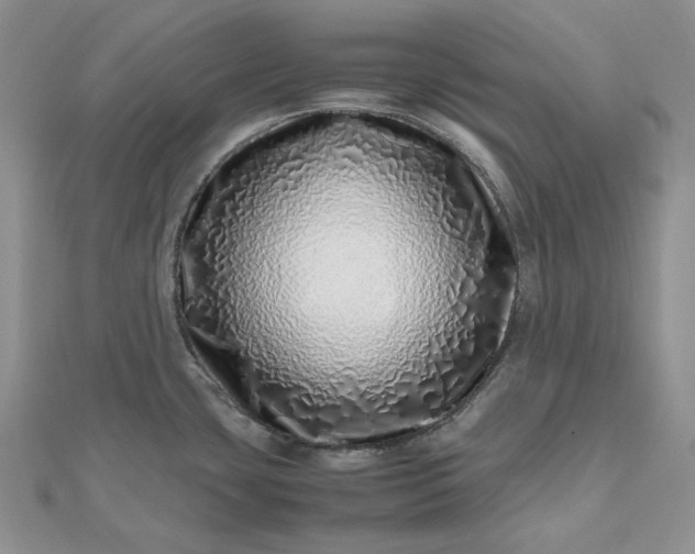 X0000112491435200908311423