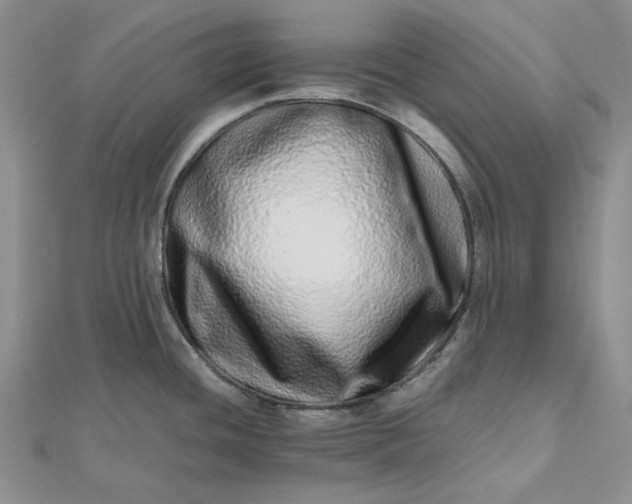 X0000112491436200908311423