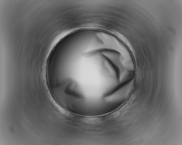 X0000112491437200908311423