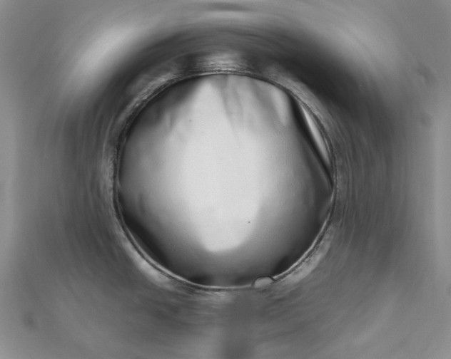 X0000112491438200908311423