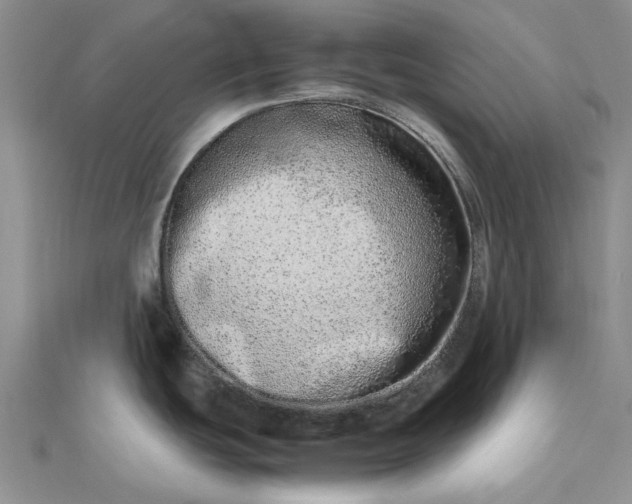 X0000112491439200908311423