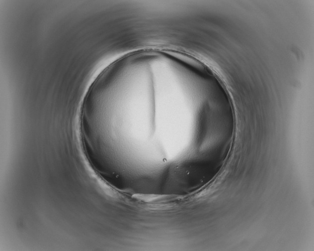 X0000112491440200908311423