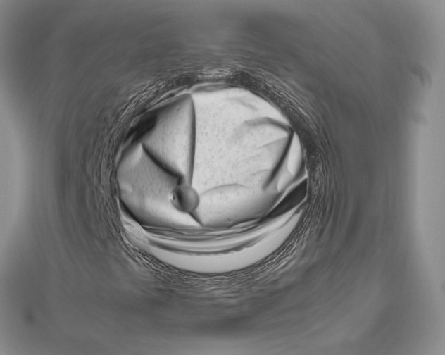 X0000112491441200908311422