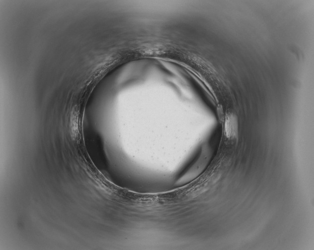 X0000112491444200908311422