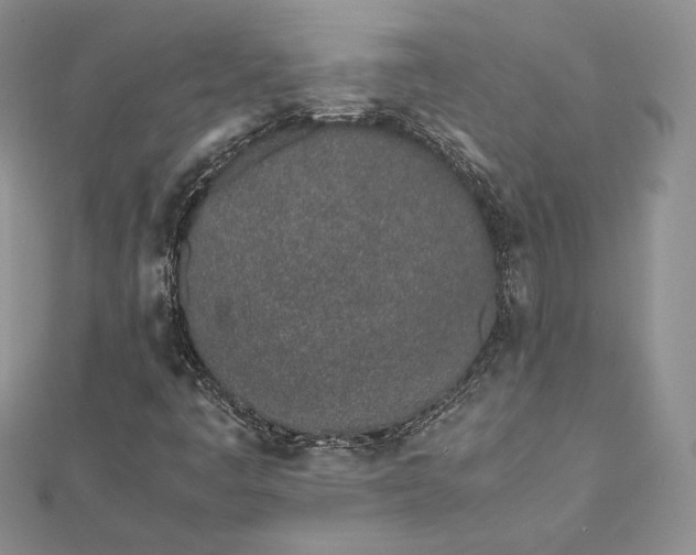 X0000112491445200908311422