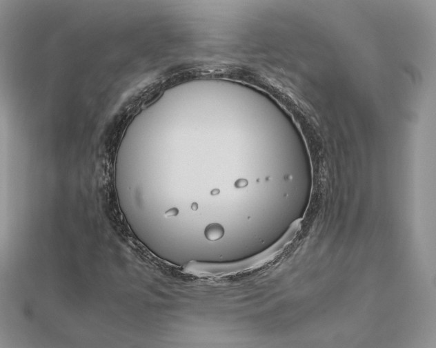 X0000112491447200908311422