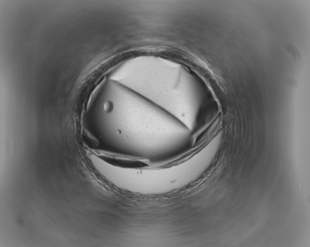 X0000112491448200908311422