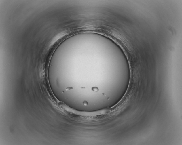 X0000112491450200908311422