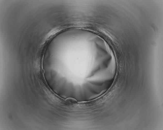 X0000112491451200908311422