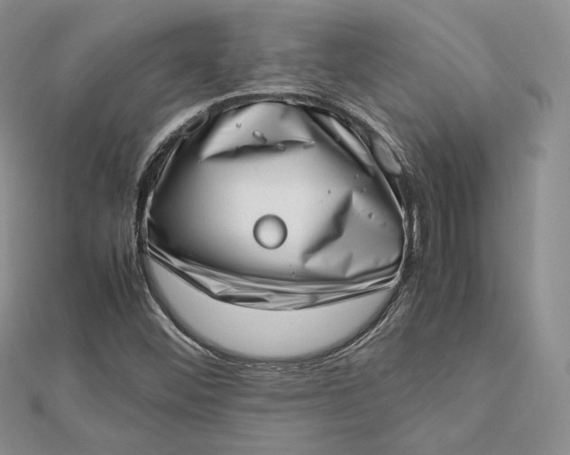 X0000112491452200908311422