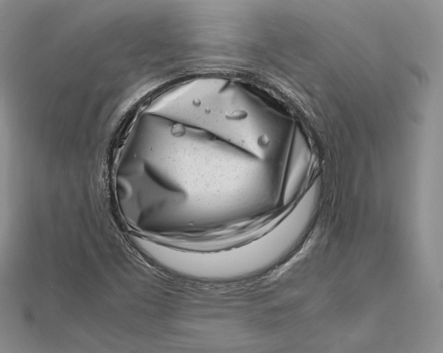 X0000112491453200908311422