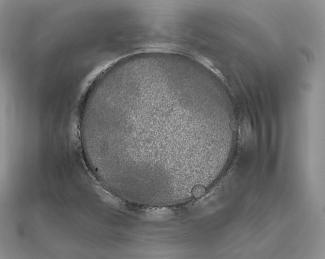 X0000112491454200908311422