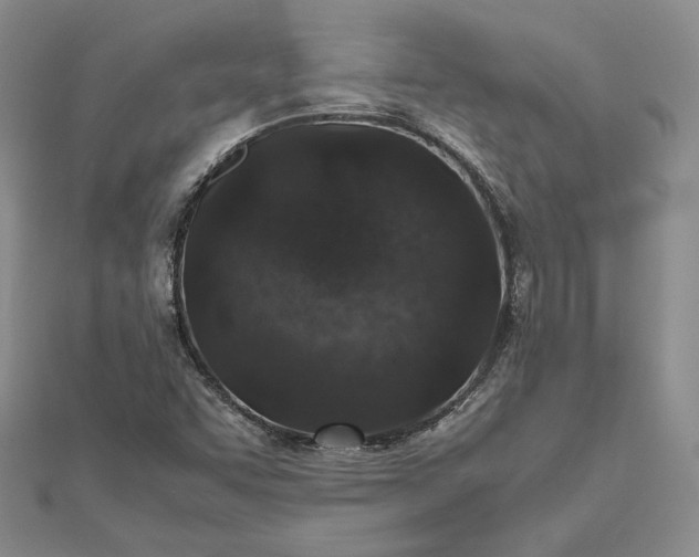 X0000112491455200908311422