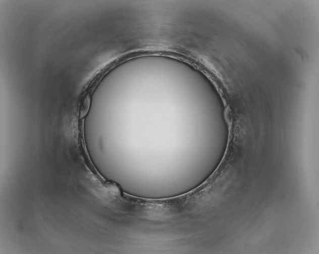 X0000112491456200908311422