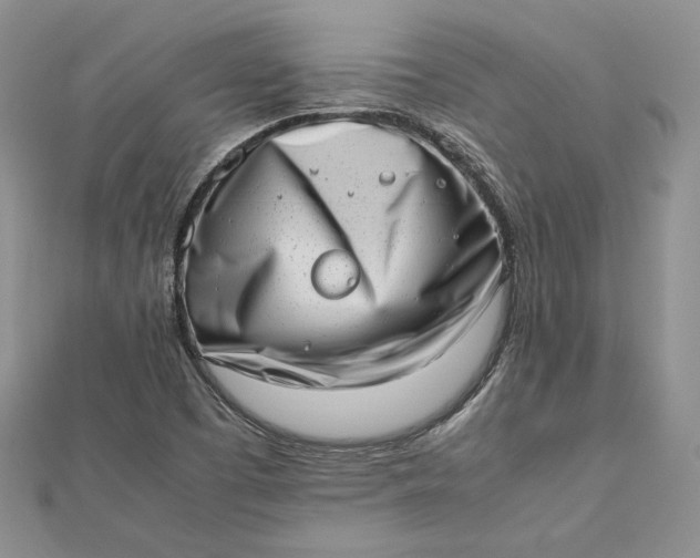 X0000112491457200908311422