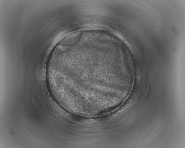 X0000112491459200908311422