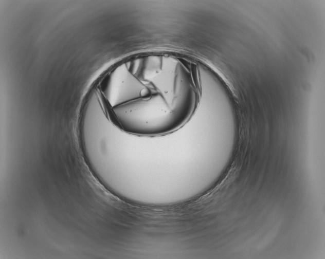 X0000112491460200908311422