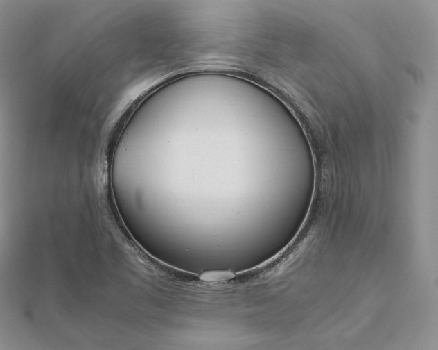 X0000112491461200908311422