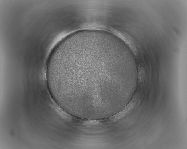 X0000112491462200908311422