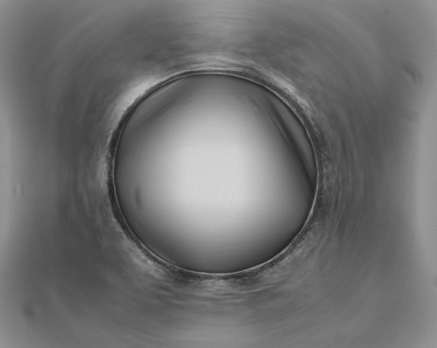 X0000112491463200908311422