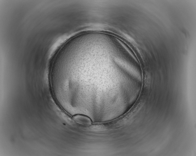 X0000112491464200908311422