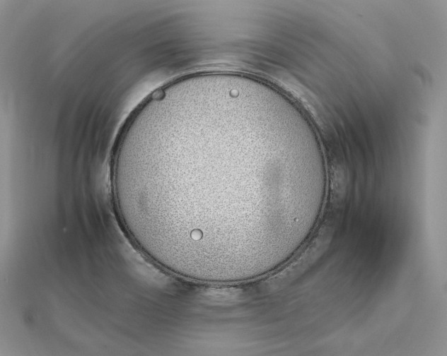 X0000112491466200908311422