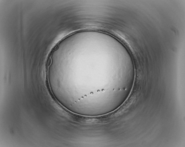 X0000112491467200908311422