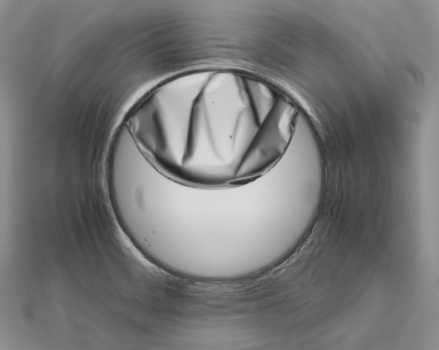 X0000112491468200908311422