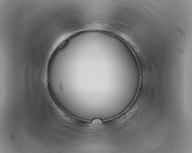 X0000112491469200908311422