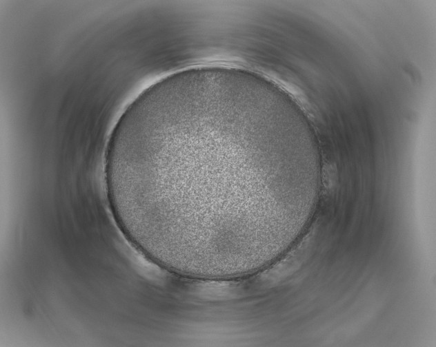 X0000112491470200908311422