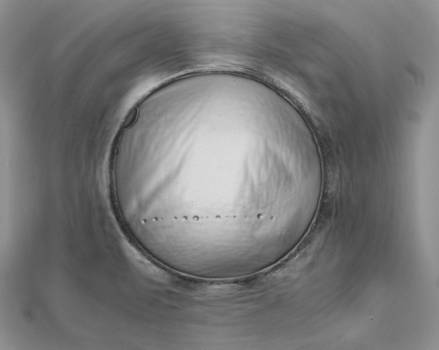 X0000112491471200908311422