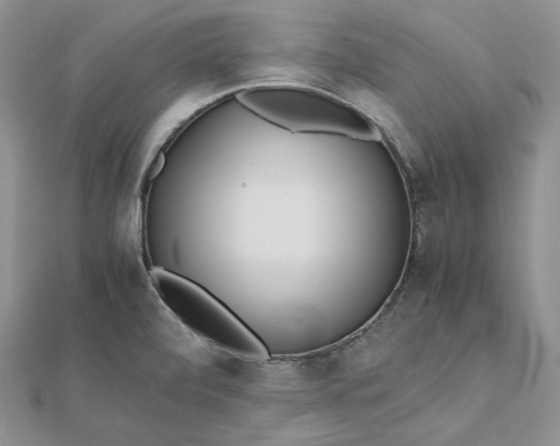 X0000112491472200908311422