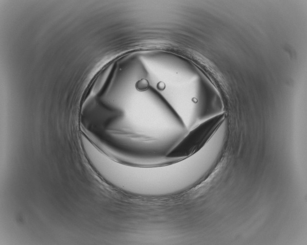 X0000112491473200908311422